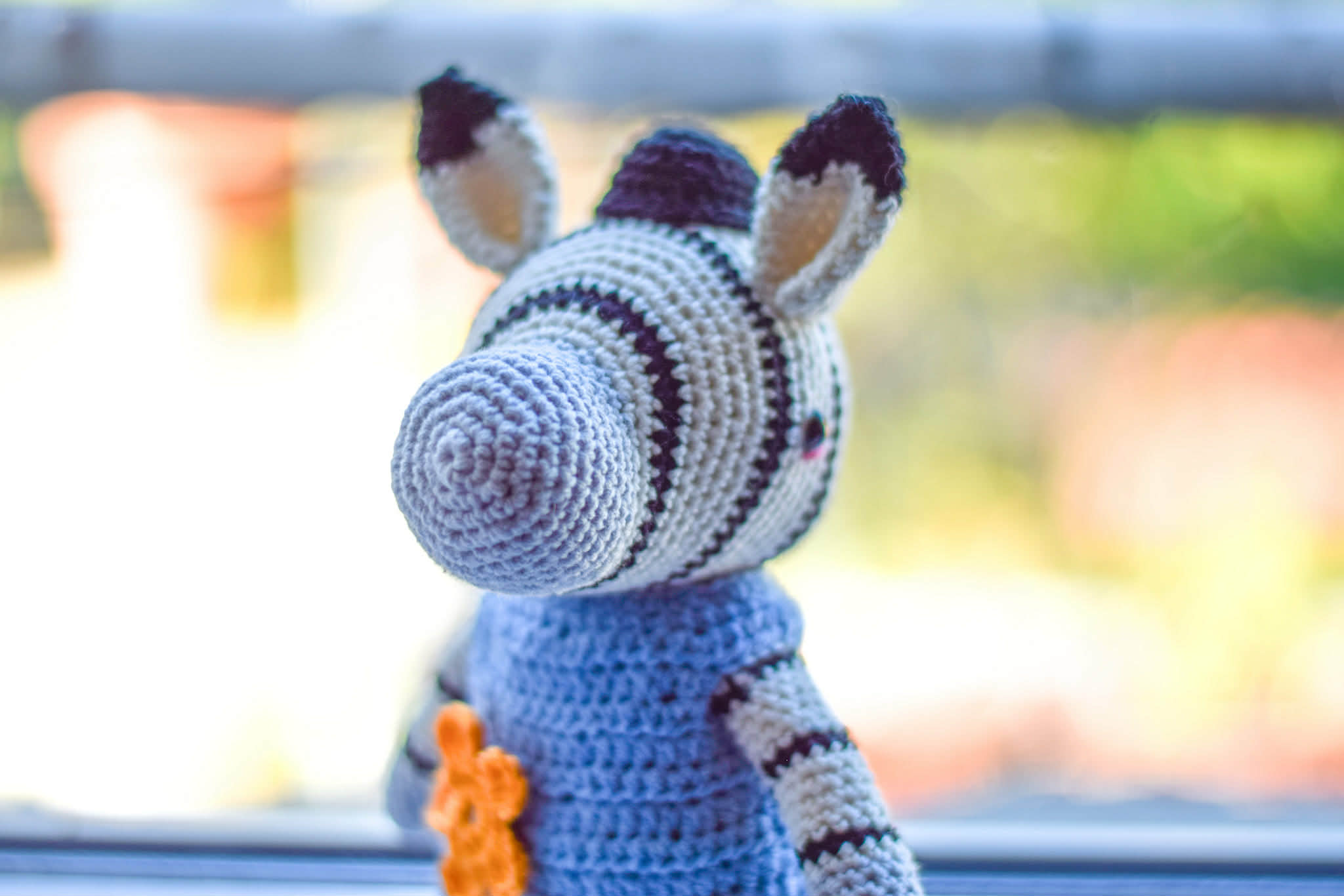 Зебрата Ваньо